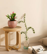 Load image into Gallery viewer, -