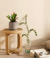 Load image into Gallery viewer, -