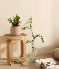 Load image into Gallery viewer, -