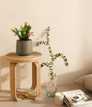 Load image into Gallery viewer, -