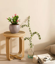 Load image into Gallery viewer, -