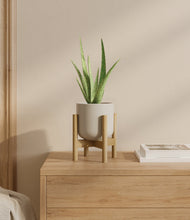 Load image into Gallery viewer, Cotton White stand:bamboo