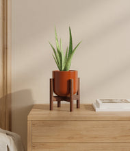 Load image into Gallery viewer, Glossy Red stand:walnut