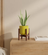 Load image into Gallery viewer, Key Lime Yellow stand:walnut