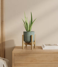 Load image into Gallery viewer, Reactive Aqua stand:bamboo