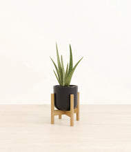 Load image into Gallery viewer, Stone Black stand:bamboo