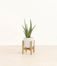 Load image into Gallery viewer, Cotton White stand:bamboo