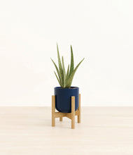 Load image into Gallery viewer, Twilight Blue stand:bamboo