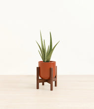 Load image into Gallery viewer, Glossy Red stand:walnut