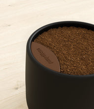 Load image into Gallery viewer, -