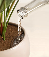 Load image into Gallery viewer, Desert Brown stand:all