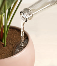 Load image into Gallery viewer, Calm Rose stand:all