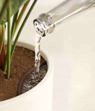 Load image into Gallery viewer, Cream stand:all