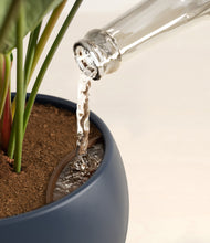 Load image into Gallery viewer, Deep Navy stand:all