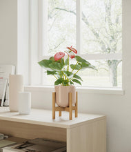 Load image into Gallery viewer, Sandy Pink stand:bamboo