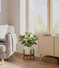 Load image into Gallery viewer, Turquoise stand:walnut
