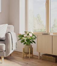 Load image into Gallery viewer, Olive stand:bamboo