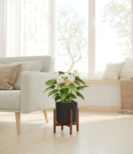 Load image into Gallery viewer, Black stand:walnut