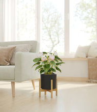 Load image into Gallery viewer, Black stand:bamboo