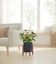 Load image into Gallery viewer, Deep Navy stand:walnut
