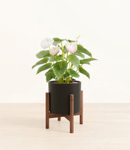 Load image into Gallery viewer, Black stand:walnut
