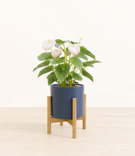 Load image into Gallery viewer, Deep Navy stand:bamboo