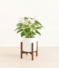 Load image into Gallery viewer, White stand:walnut
