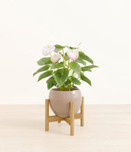 Load image into Gallery viewer, Desert Brown stand:bamboo