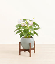 Load image into Gallery viewer, Deep Ocean stand:walnut