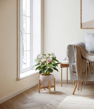Load image into Gallery viewer, Desert Brown stand:bamboo