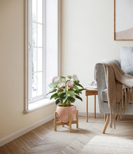 Load image into Gallery viewer, Calm Rose stand:bamboo