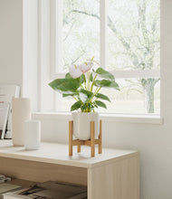 Load image into Gallery viewer, Cotton White stand:bamboo