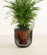 Lade das Bild in den Galerie-Viewer, Stone Black stand:all