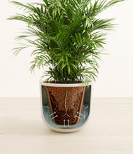 Lade das Bild in den Galerie-Viewer, Natural Bamboo stand:all