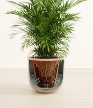 Lade das Bild in den Galerie-Viewer, Sandy Pink stand:all