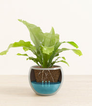 Load image into Gallery viewer, Deep Ocean