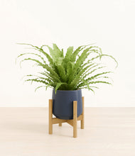 Load image into Gallery viewer, Deep Navy stand:bamboo