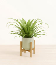 Load image into Gallery viewer, Turquoise