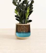 Load image into Gallery viewer, Almond Green