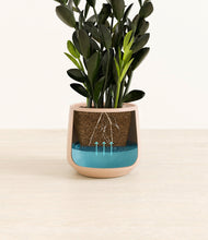 Load image into Gallery viewer, Gentle Pink