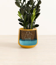 Load image into Gallery viewer, Mustard