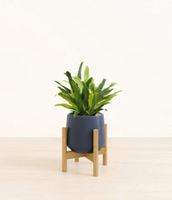 Load image into Gallery viewer, Deep Navy stand:bamboo