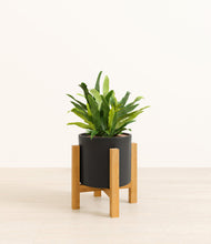 Load image into Gallery viewer, Black stand:light