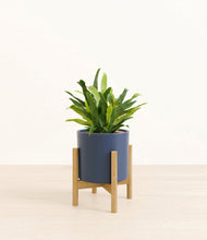 Load image into Gallery viewer, Deep Navy stand:bamboo