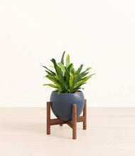 Load image into Gallery viewer, Deep Navy stand:walnut