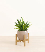 Load image into Gallery viewer, Desert Brown stand:bamboo