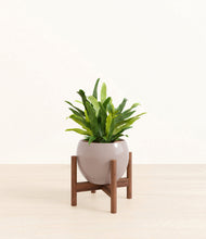 Load image into Gallery viewer, Winter Clouds stand:walnut