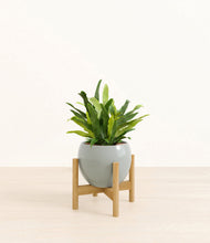 Load image into Gallery viewer, Deep Ocean stand:bamboo