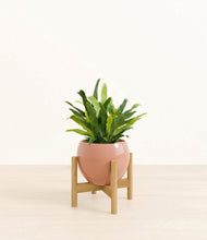 Load image into Gallery viewer, Calm Rose stand:bamboo