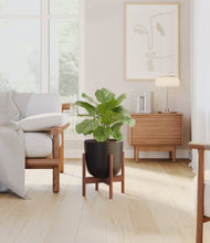 Lade das Bild in den Galerie-Viewer, Stone Black stand:walnut